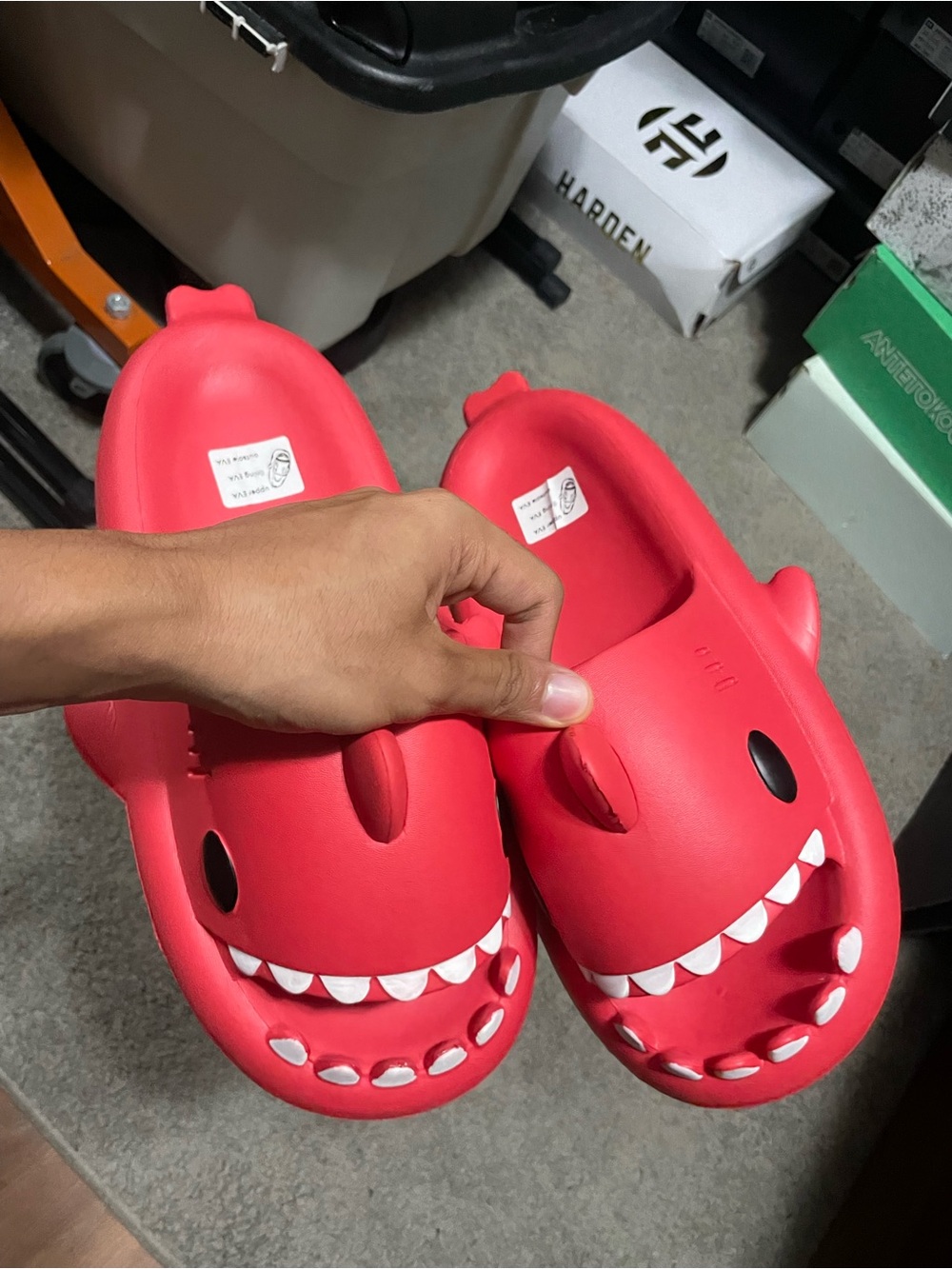 Red Shark Slides Size 12